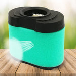 Pulitore filtro aria per Briggs & Stratton 792105 276890 4163205 4163206 44H777, For Briggs & Stratton 792105
