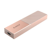 Alloggiamento SSD SATA ORICO M.2 NGFF