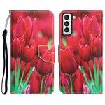 Custodia per telefono in pelle con disegno colorato, For Samsung Galaxy S21+ 5G