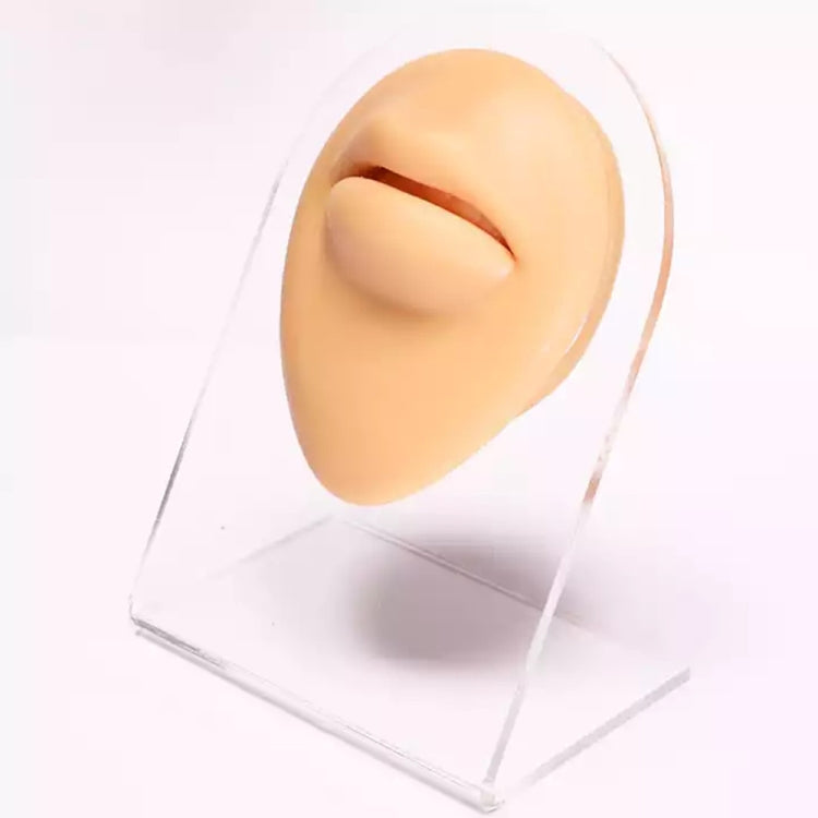Caratteristiche facciali di simulazione Modello in silicone, Belly Button, Nose, Eye, Private Parts, Mouth, Tongue, Nipple, Right Ear, Left Ear