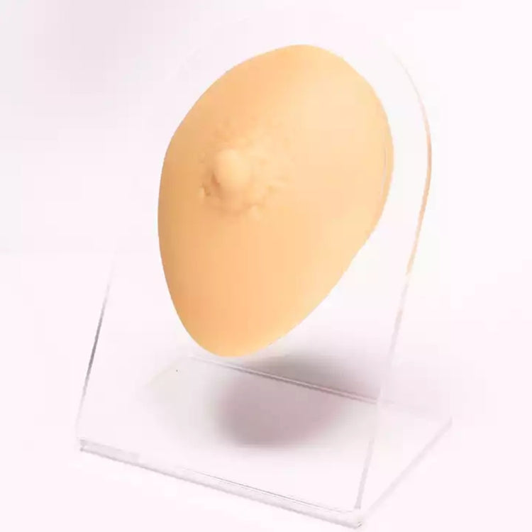 Caratteristiche facciali di simulazione Modello in silicone, Belly Button, Nose, Eye, Private Parts, Mouth, Tongue, Nipple, Right Ear, Left Ear