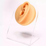 Caratteristiche facciali di simulazione Modello in silicone, Belly Button, Nose, Eye, Private Parts, Mouth, Tongue, Nipple, Right Ear, Left Ear