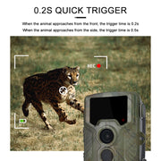 H881 Fotocamera da caccia con schermo TFT da 2,4 pollici da 21 megapixel, H881