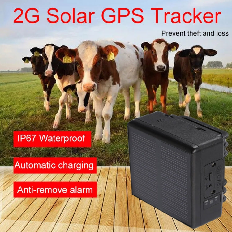 Localizzatore di localizzazione GPS solare RF-V24 4G Localizzatore di bestiame, with 2G Memory, with 4G Memory