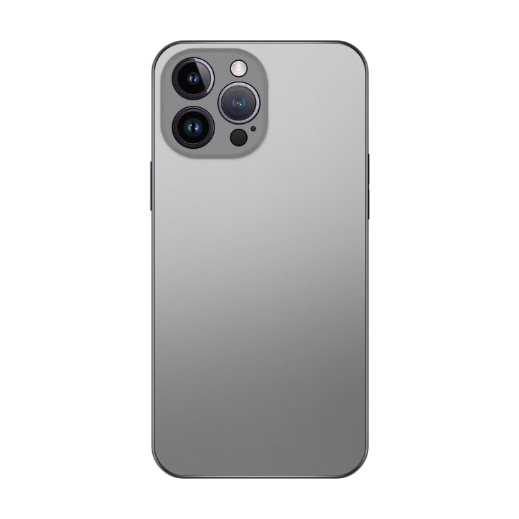 Electroplating AG Custodia per telefono smerigliata, For iPhone 13 Pro Max, For iPhone 12, For iPhone 12 Pro