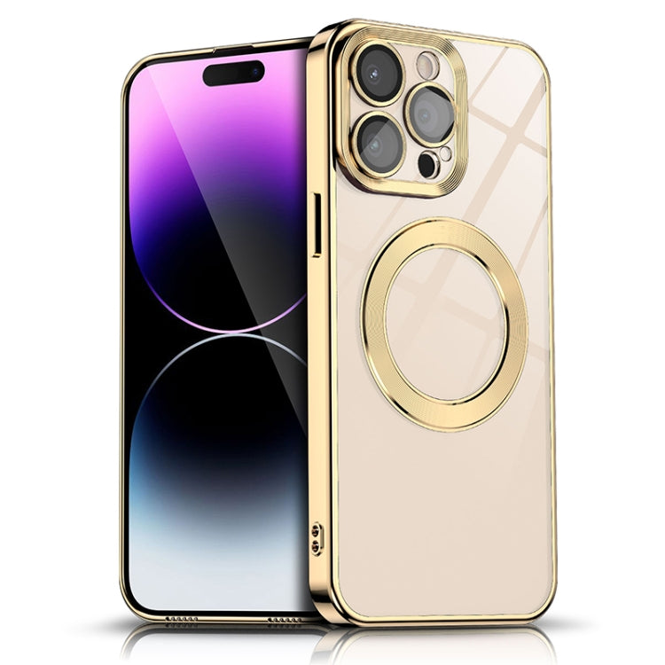 Accessori iPhone
