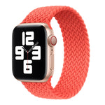 Cinturino intrecciato in nylon a giro singolo per Apple Watch Series 8&7 41mm / SE 2&6&SE&5&4 40mm / 3&2&1 38mm, For Apple Watch Series 8&7 41mm,145mm