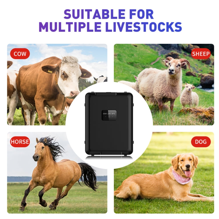 Tracker di localizzazione del bestiame impermeabile multifunzionale, V55 30000mAh, V55 20000mAh