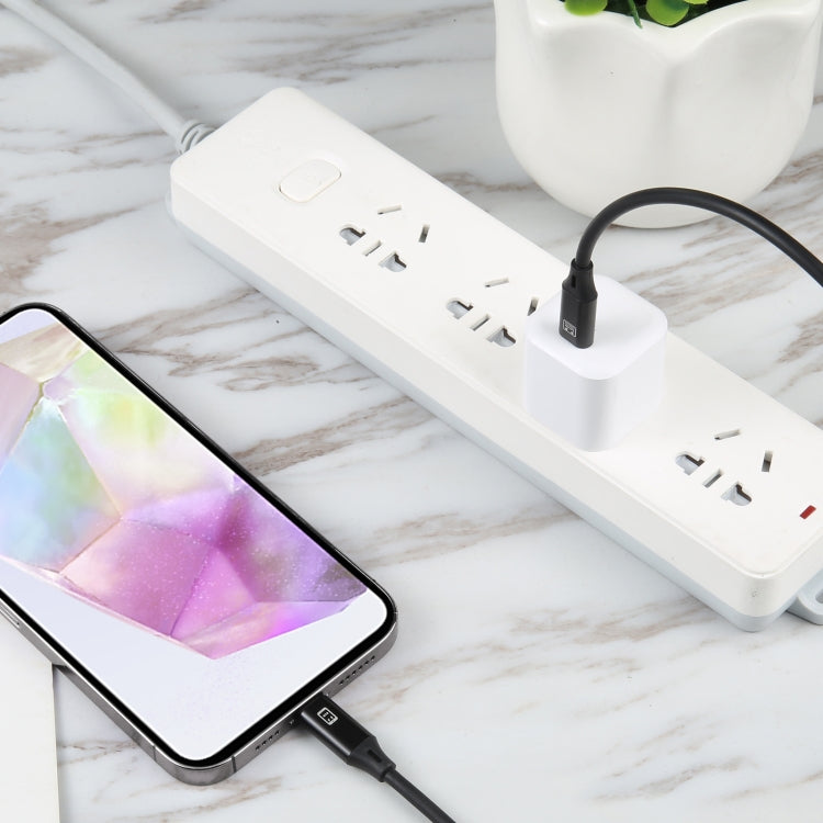Caricabatterie USB-C PD 20W con spina americana US Plug