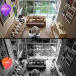 Telecamera WiFi con lampadina 1080P e allarme fumo DP36