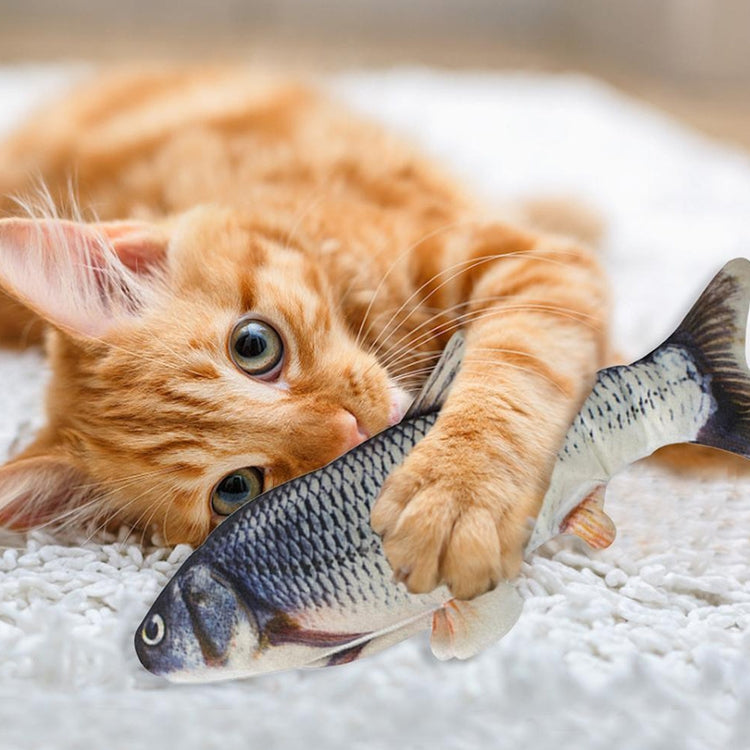 Giocattolo interattivo per gatti elettrici con pesce di simulazione di animali domestici con ricarica USB, dimensioni ： 30cn, Size: 30cm (Black Grass Carp), Size: 30cm (Salmon), Size: 30cm (Yellow Carp), Size: 30cm (Silver Dragon Fish)                 ...