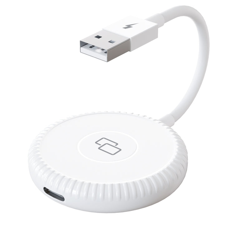THT-020-6 Adattatore per specchio Carplay USB + USB-C / Type-C per iPhone, THT-020-6