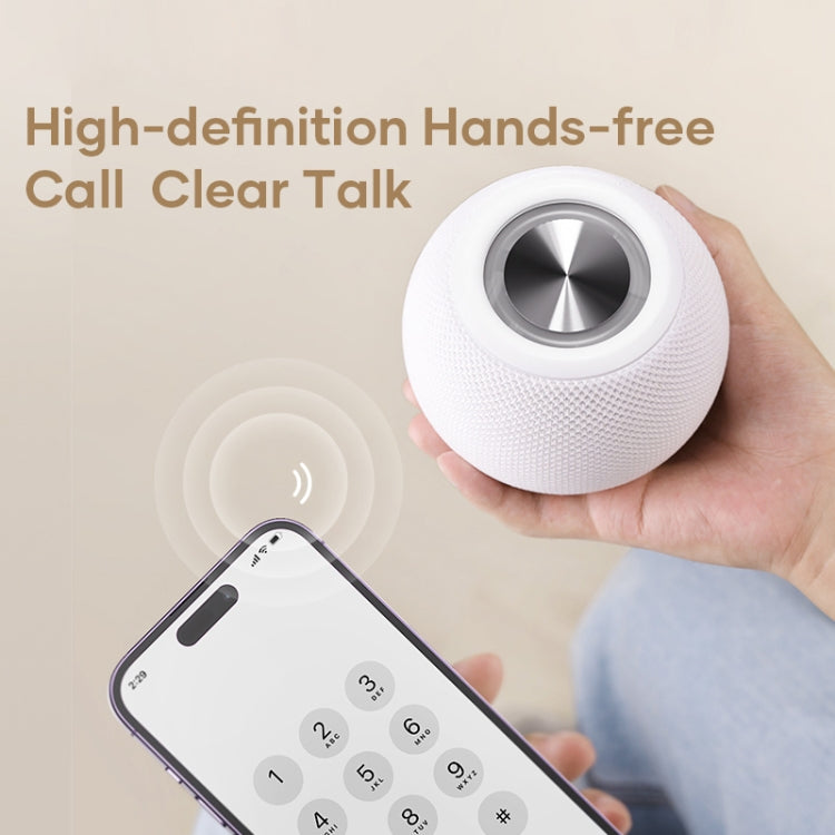 Altoparlante Bluetooth portatile ROCK RAU0758, ROCK RAU0758