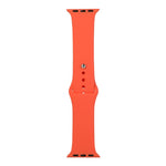 Cinturino di ricambio per orologio in silicone, sezione corta (femmina), For Apple Watch Series 8&7 41mm / SE 2&6&SE&5&4 40mm / 3&2&1 38mm