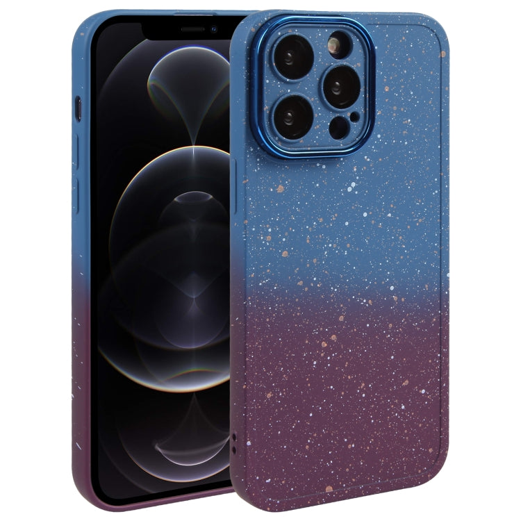 Custodia in silicone sfumato per iPhone 12 e 11