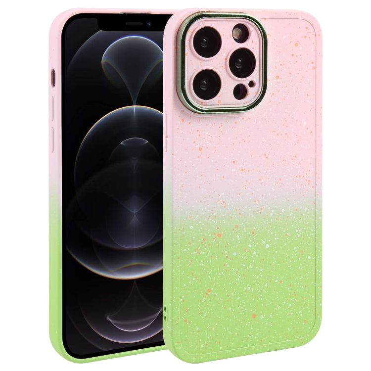 Custodia in silicone sfumato per iPhone 12 e 11