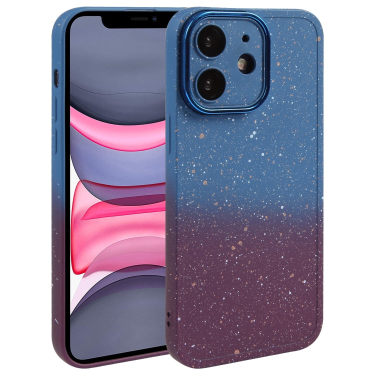 Custodia in silicone sfumato per iPhone 12 e 11