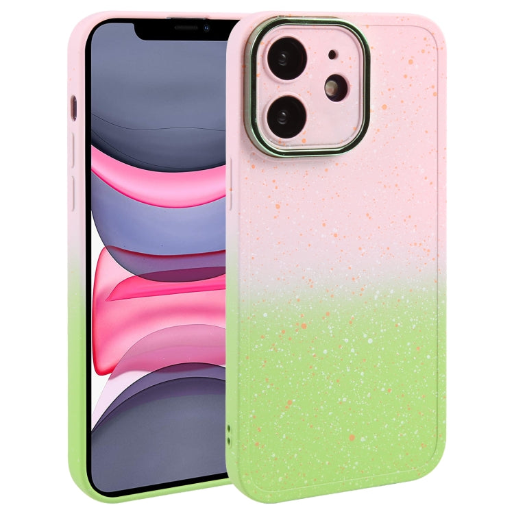 Custodia in silicone sfumato per iPhone 12 e 11