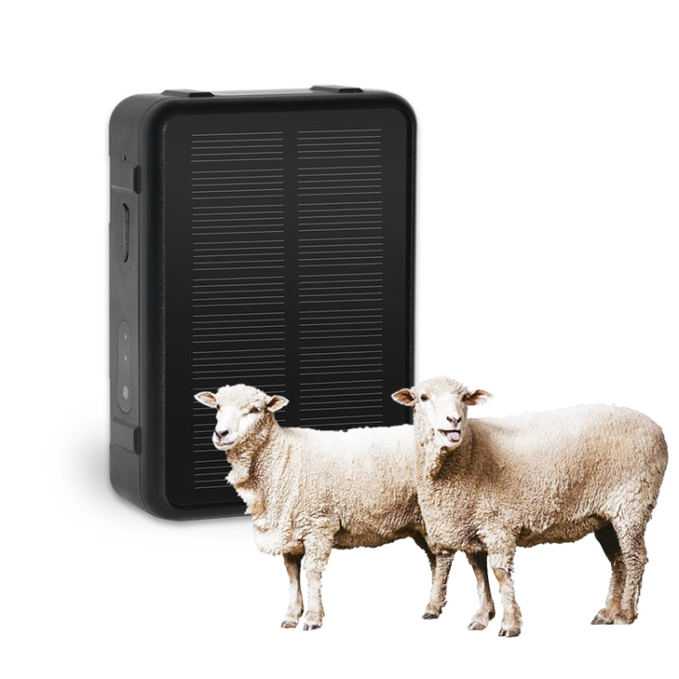 V44 Localizzatore GPS impermeabile per bovini e ovini a energia solare, V44 GPS Tracker