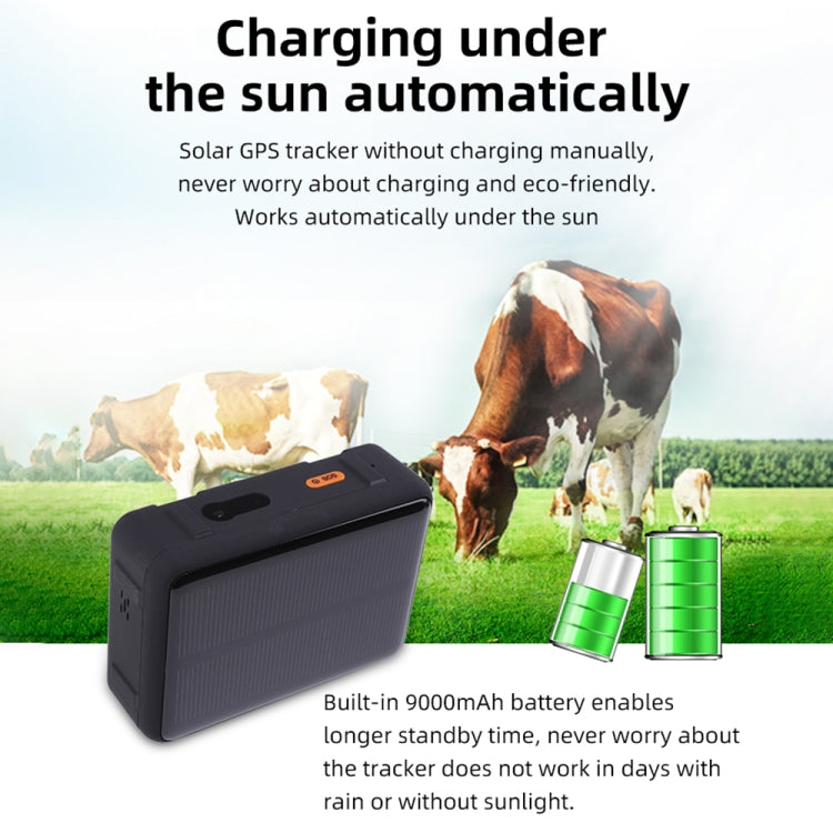 V44 Localizzatore GPS impermeabile per bovini e ovini a energia solare, V44 GPS Tracker