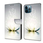 Custodia in pelle con slot carte per iPhone 12 Pro Max e 13 Pro M