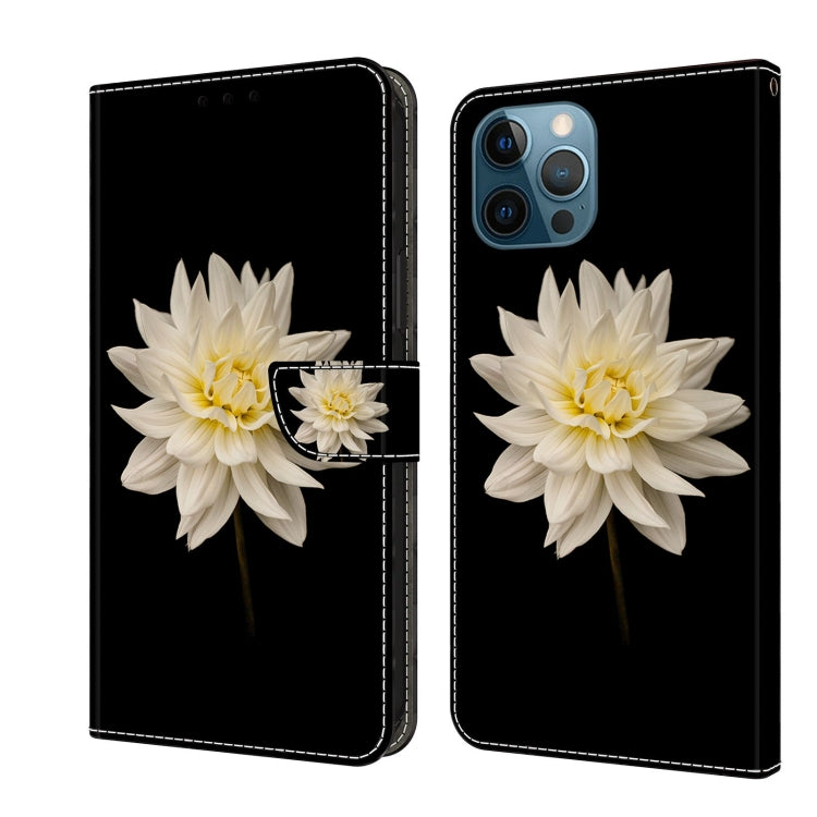 Custodia in pelle con slot carte per iPhone 12 Pro Max e 13 Pro M