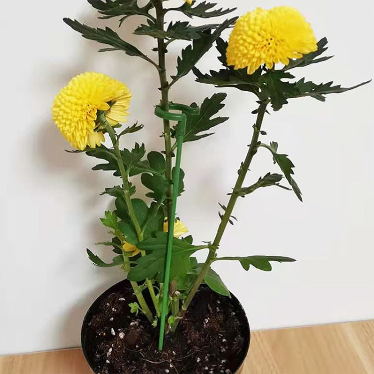 10pcs pianta in vaso a forma di fiore asta di supporto fisso telaio di protezione fogliare anti-alloggiamento, 17cm, 27cm, 37cm, 48cm, 58cm