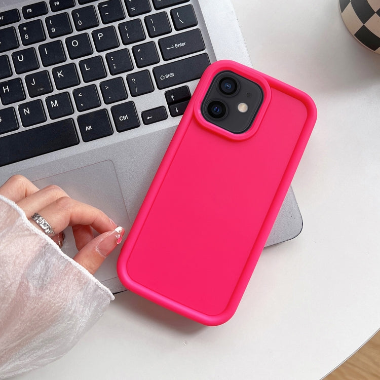 Custodia TPU satinata per iPhone 12 e 11