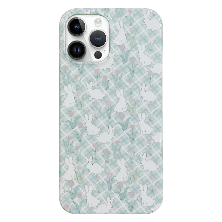Custodia PC con motivo dipinto per iPhone 12 Pro