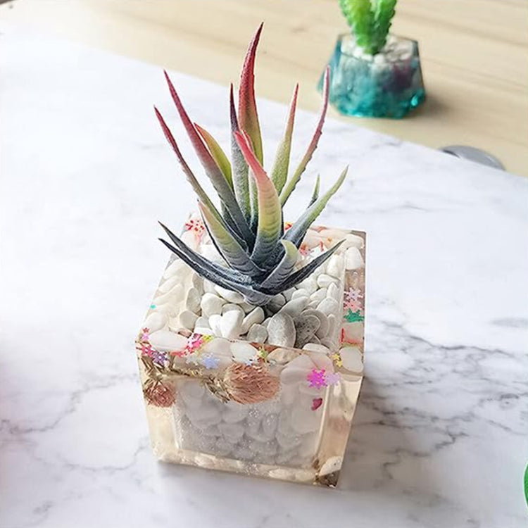 3 tazze Love Ice Tray Stampo in silicone Stampo in gesso succulento, consegna colore casuale