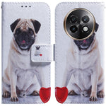Custodia per cellulare in pelle flip con disegno colorato, For Realme 13+ Global, For Realme GT 6 / GT 6T / GT Neo6