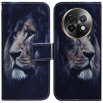 Custodia per cellulare in pelle flip con disegno colorato, For Realme 13+ Global, For Realme GT 6 / GT 6T / GT Neo6