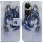 Custodia per cellulare in pelle flip con disegno colorato, For OPPO Reno10 5G / Reno10 Pro Global, For OPPO A78 4G