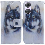 Custodia per cellulare in pelle flip con disegno colorato, For OPPO Reno10 5G / Reno10 Pro Global, For OPPO A78 4G