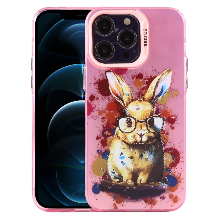 Custodia per PC con motivo animale, For iPhone 13, For iPhone 12, For iPhone 12 Pro Max