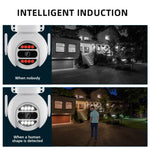 Telecamera IP WiFi 2 MP con visione notturna a colori