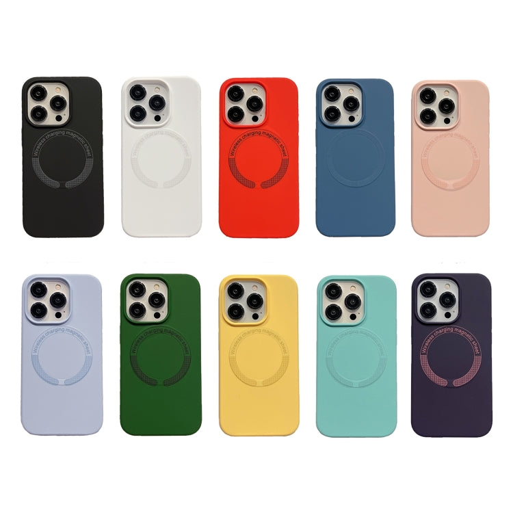 Custodia magnetica per telefono in silicone Magsafe, For iPhone 16 Pro Max, For iPhone 16 Pro, For iPhone 16 Plus, For iPhone 16, For iPhone 15 Pro Max, For iPhone 15 Pro, For iPhone 15 Plus, For iPhone 15