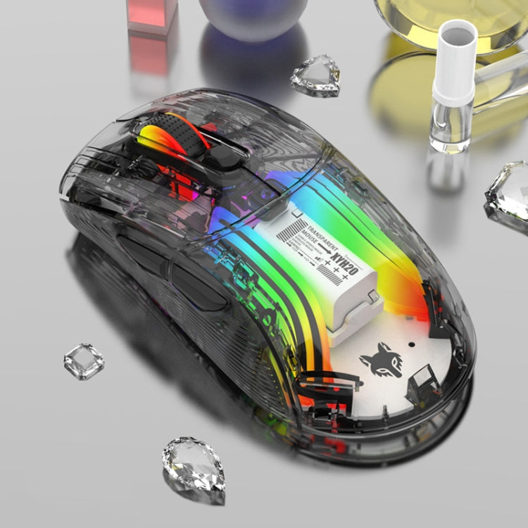 XUNFOX XYH20RGB 2.4G + BT + mouse da gioco cablato trasparente 2400 DPI RGB leggero, 2.4G + BT + Wired