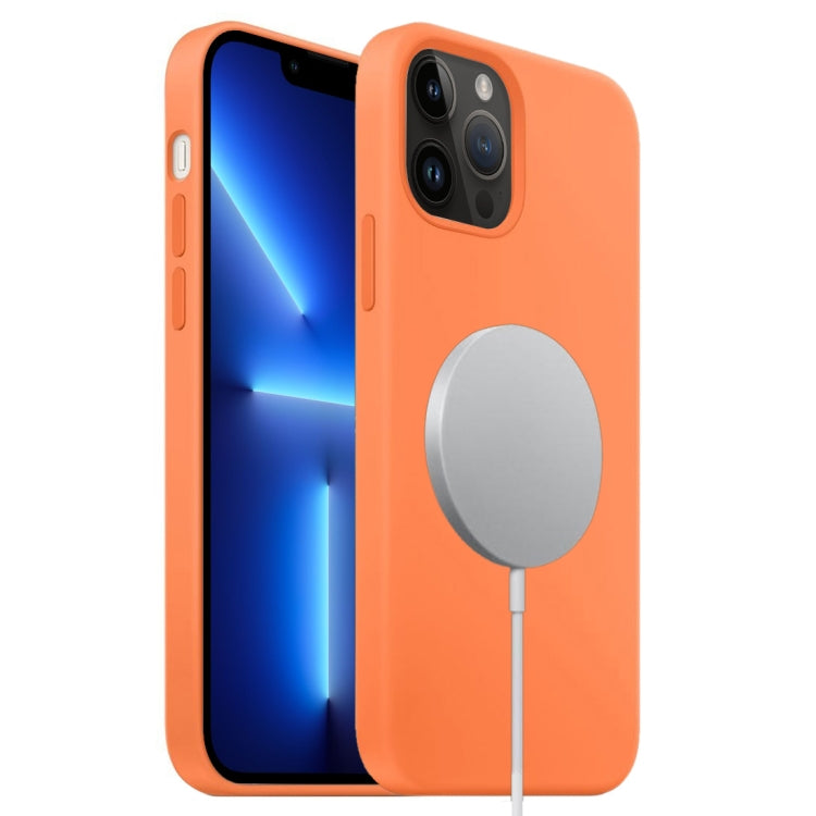 Custodia MagSafe in silicone liquido per iPhone 13 Pro Max