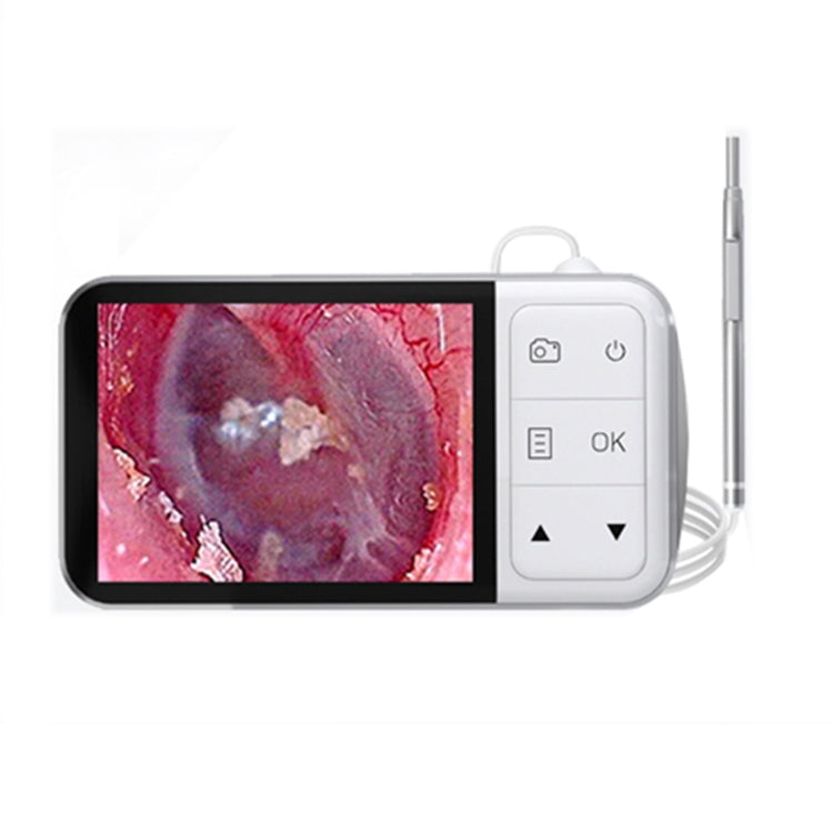 C02 Paletta auricolare visibile con schermo da 4,5 pollici, C02 3.9mm