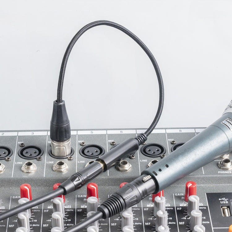 Cavo conversione audio microfono femmina 6,35 mm a XLR 0,3 m