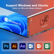 GXMO N42 Windows 11 Intel Gemini Lake N4020C Mini PC NVME SSD WiFi Mini computer desktop, 6GB+64GB, 6GB+64GB+256GB