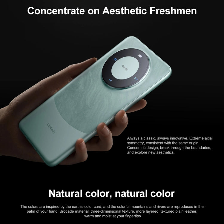 HUAWEI Mate 60, Identificazione delle impronte digitali sullo schermo, HarmonyOS 4.0 Kirin 9000S Octa Core da 6,69 pollici fino a 2,62 GHz, NFC, OTG, Non supporta Google Play, 12GB+512GB, 12GB+1TB