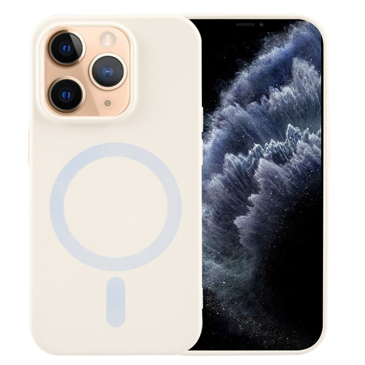 Custodia silicone liquido MagSafe per iPhone 12 Pro Max