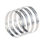 4 fascette stringitubo in acciaio inossidabile, clip per tubo del carburante, dimensioni: 91-114 mm, 4 PCS Size: 91-114mm