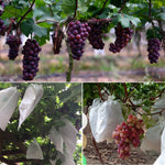 1000 pezzi sacchetto di imballaggio impermeabile per uva sacchetto di carta sacchetto protettivo per frutta, 20x28, 22x31, 25x34, 28x36, 29x38