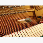 Set chiavi per accordatura pianoforte 10 in 1 in acciaio