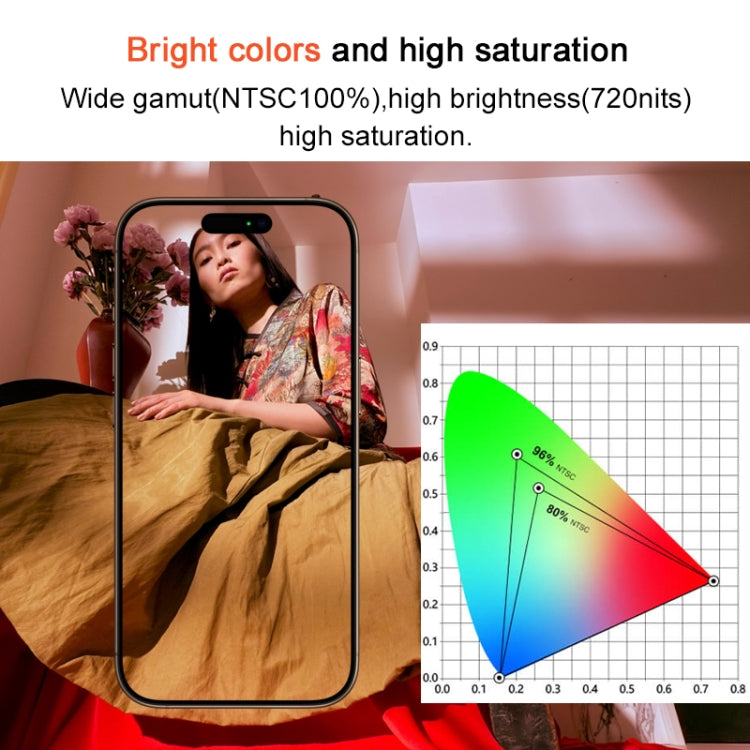 Schermo LCD TFT con digitalizzatore per iPhone 13 Pro Max