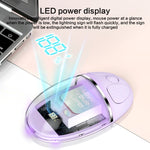 Mouse ZGA colorato trasparente dual mode wireless 2.4G + Bluetooth 5.0