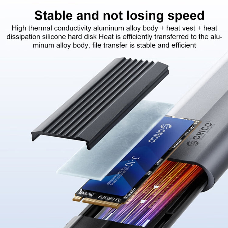 Custodia SSD M.2 NVMe 10 Gbps con cavo Type-C e USB-A